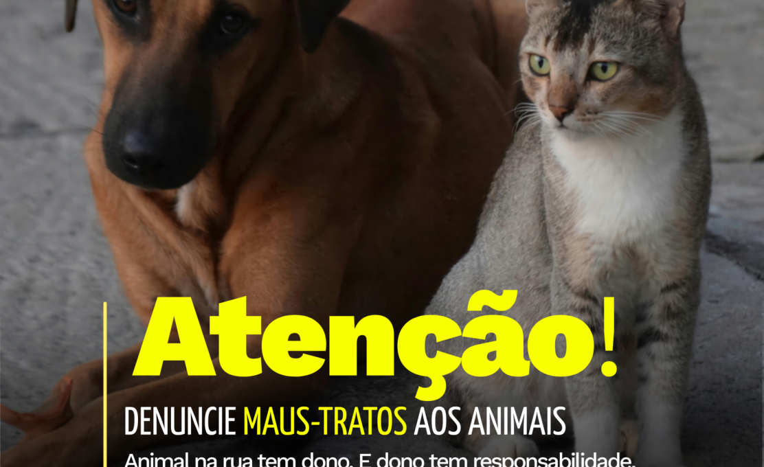  DENUNCIE MAUS-TRATOS AOS ANIMAIS