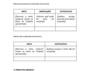 anexo-v-relatorio-de-execucao-do-objetopage-0002.jpg