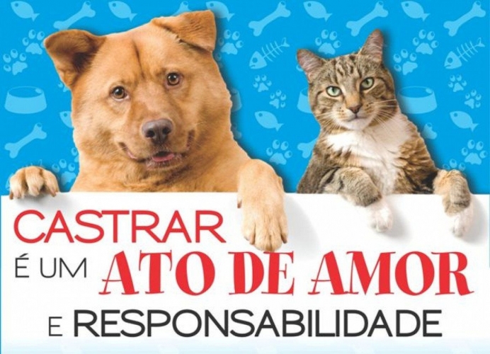 Secretaria Municipal de Agricultura e Meio-Ambiente e Governo do Estado, realizará a Castração gratuita de cães e gatos