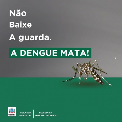 Vamos acabar com o mosquito transmissor da Dengue em nosso município