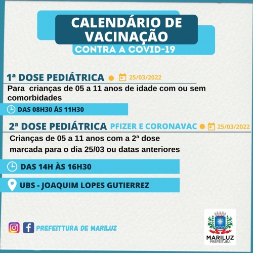 Vacinação contra a Covid-19 Vacinação Pediátrica 