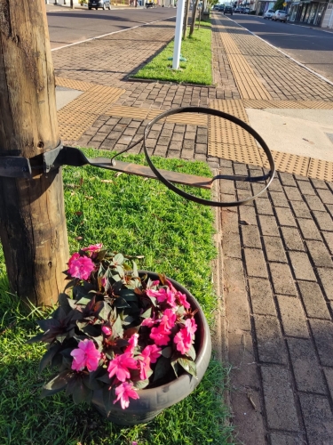 vandalismo nas flores ornamentais que fazem parte do paisagismo da Avenida Marília