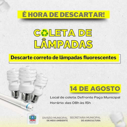 Coleta de lâmpadas queimada