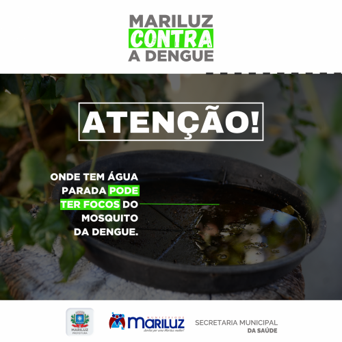 Mariluz contra a Dengue 