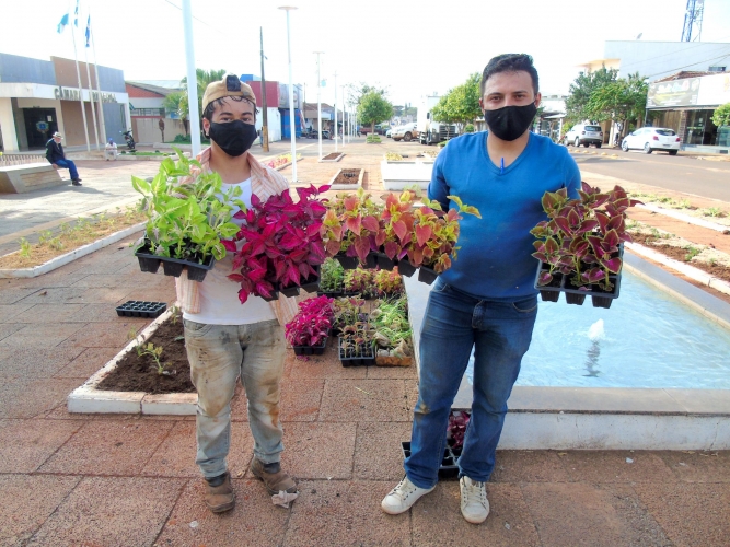 Município de Mariluz começou a plantar flores em vias públicas projeto foi idealizado pela Vice-Prefeita 