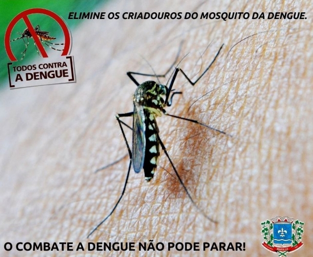 Mariluz no combate a dengue!