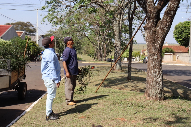 Município de Mariluz está realizando a retirada de plantas hemiparasitas em árvores de Ipês roxo e amarelo