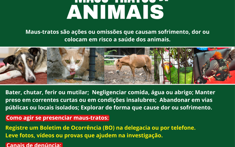 Maus-tratos a animais 
