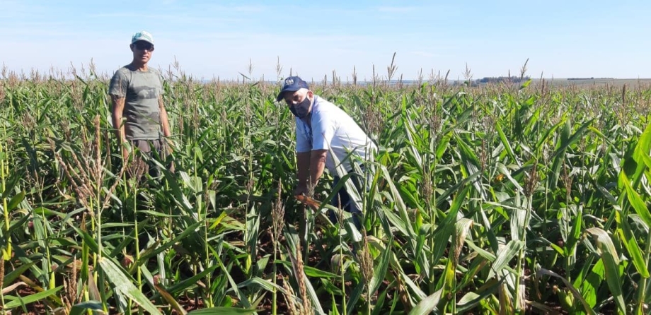 Representantes do Programa Família Paranaense realizaram coleta de solo em áreas do Assentamento Nossa Senhora Aparecida