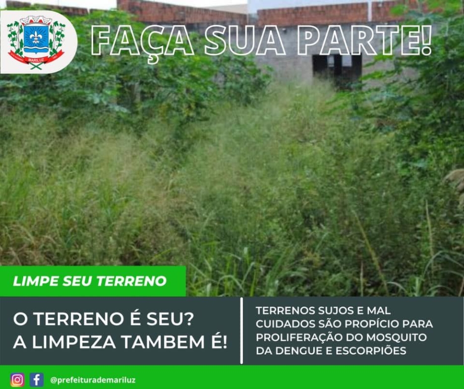 Limpeza de Terrenos Baldios 