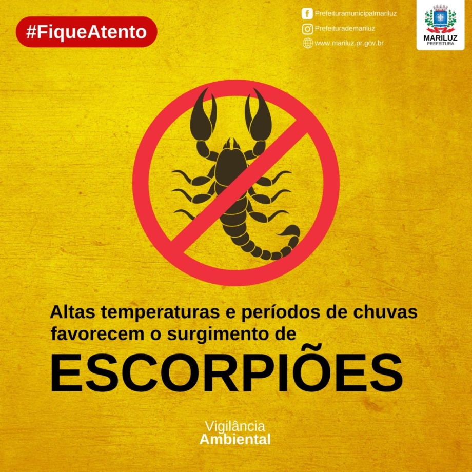 Prevenção contra escorpiões 