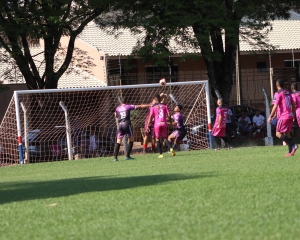 img6165_(850).jpg