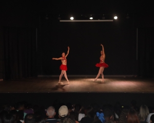 img6295.jpg