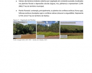 rpdm-mariluz-fase-ii1024102445.jpg