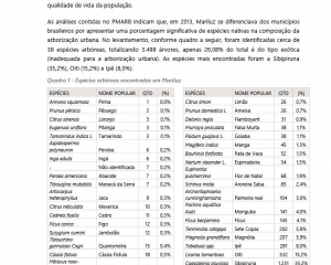 rpdm-mariluz-fase-ii1024102448.jpg